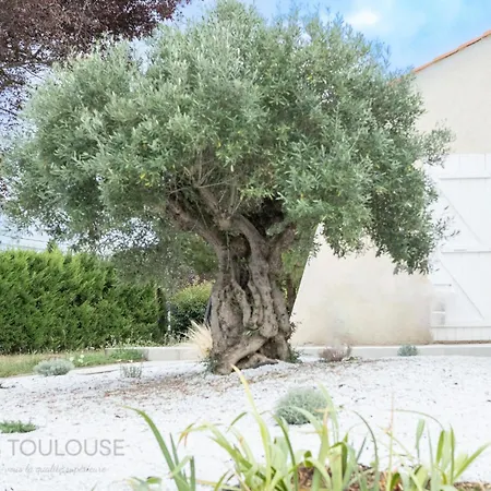 Toulouse - 